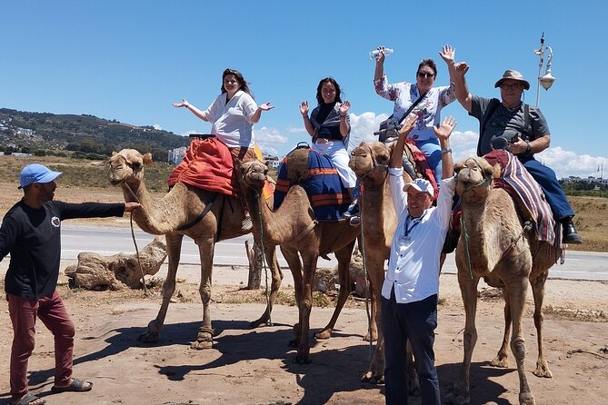 Tangier Tour Visit Caves, Kasbah, Medina & Berber Markets - Highlights of Tangier