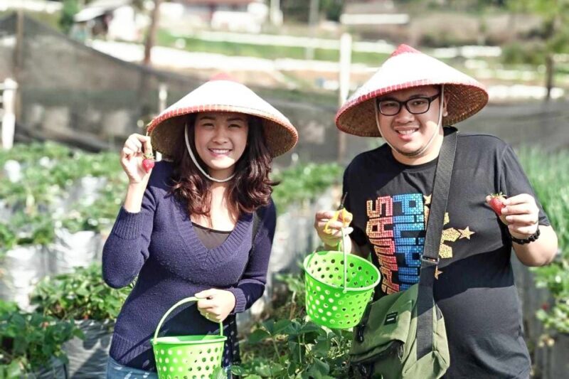 Tangkuban Perahu Crater Tour From Bandung - Payment Details