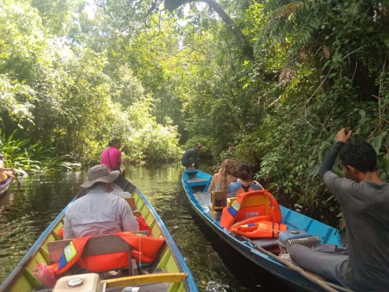 Tanjung Puting National Park Klotok - Key Points