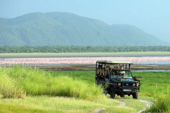 Tanzania 4 Days 3 Nights Budget Camping Safari to Serengeti and Ngorongoro - Itinerary and Inclusions