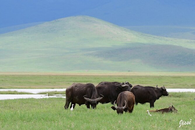 Tanzania Classic - 7 Days - Lake Manyara National Park