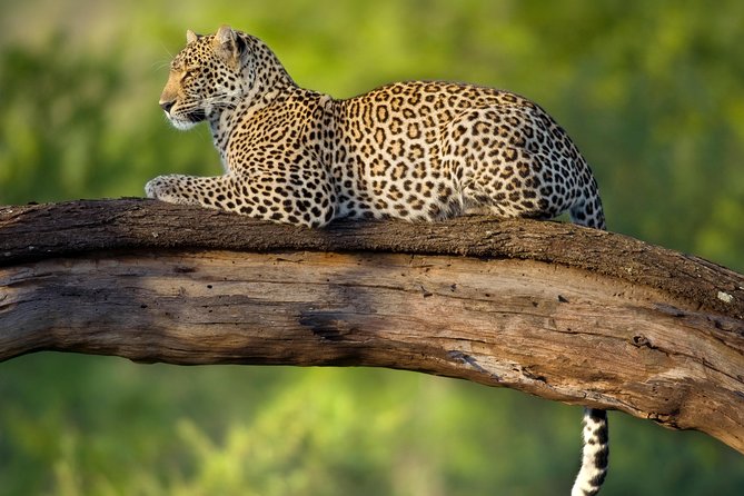 Tanzania Classic Safari - 7 Days - Accommodation Options