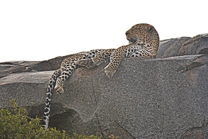 Tanzania Experience Safari and Tours - Additional Information