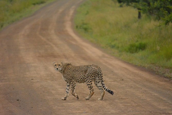 Tanzania Safari 1- Day - ARUSHA NATIONAL PARK VISIT - Key Points