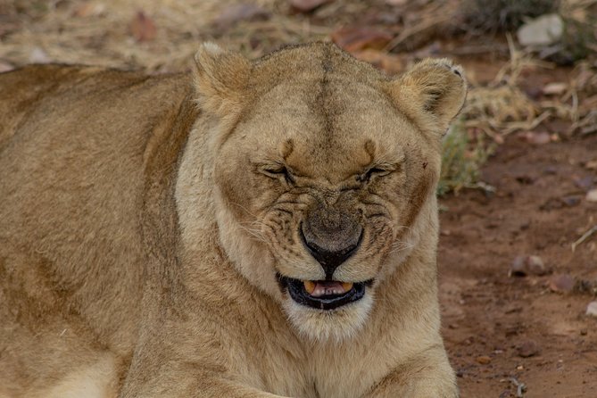 Tanzania Safari 1- Day - ARUSHA NATIONAL PARK VISIT - Wildlife Sightings and Experiences