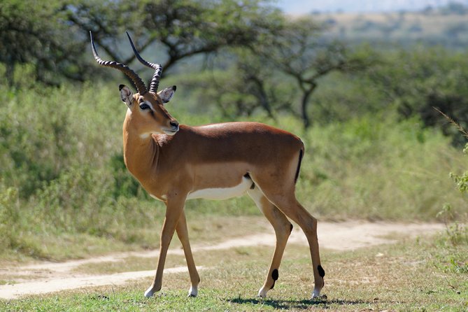 Tanzania Safari 1- Day - ARUSHA NATIONAL PARK VISIT - Safari Itinerary and Logistics