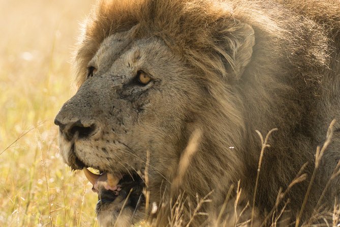 Tanzania Safari 1- Day - ARUSHA NATIONAL PARK VISIT - Preparing for the Safari