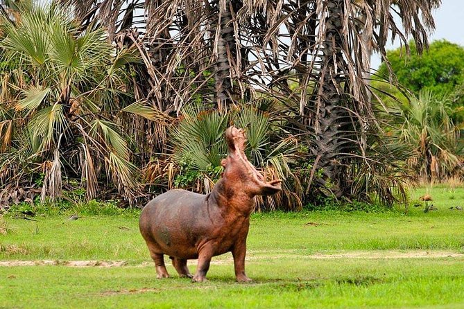 Tanzania Safari Join Group - Daily Itinerary
