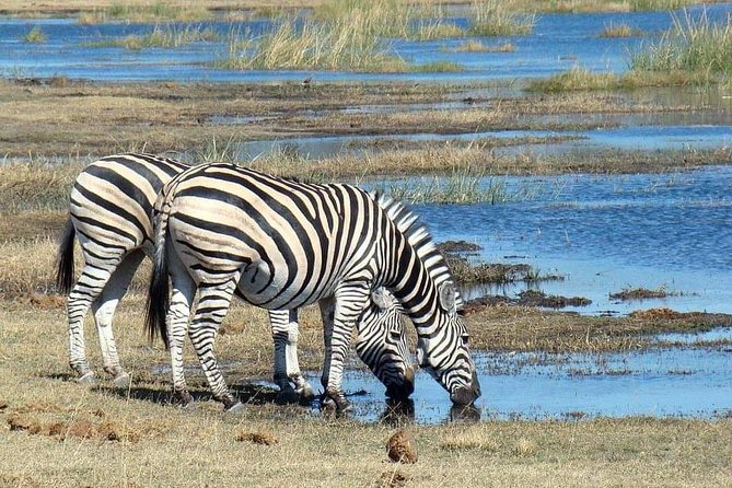 Tanzania Safari Join Group - Accommodation and Meals
