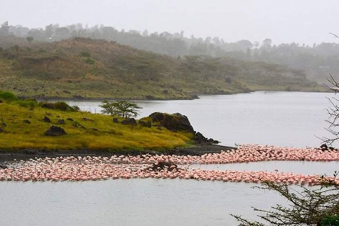 Tanzania Safari Join Group - Frequently Asked Questions