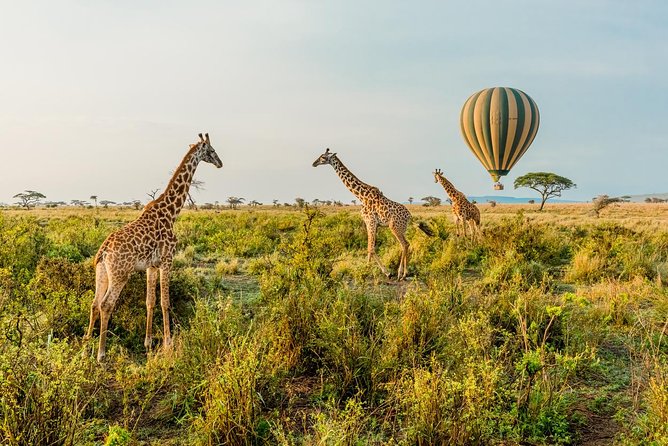 Tanzania Through The Rift Valley - 5 Days - Serengeti National Park Safari