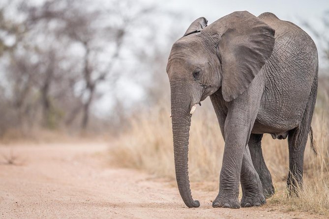 Tanzania Through The Rift Valley - 5 Days - Ngorongoro Crater Adventure