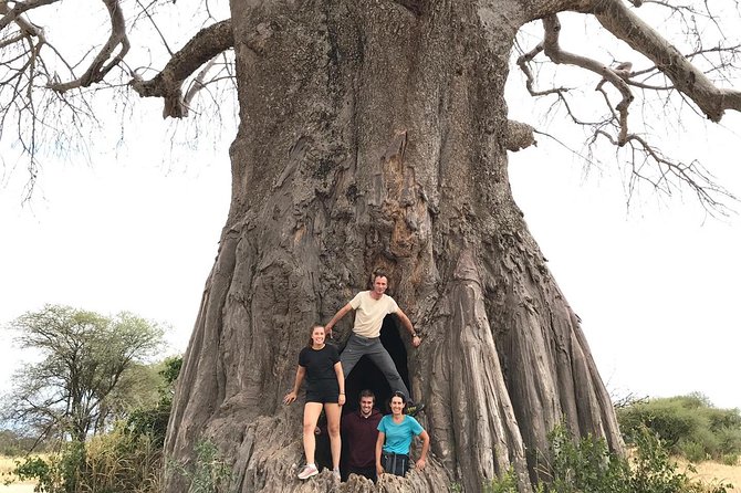 Tanzania Trip Amazing Tarangire Ngorongoro and Manyara - Operating Hours and Confirmation