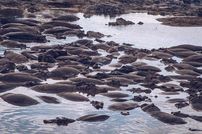 Tanzania Wildlife Encounters - 6 Days - Destinations Explored