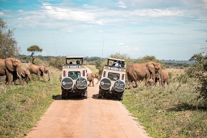 Tanzania Wildlife Encounters - 6 Days - Transport and Accommodation