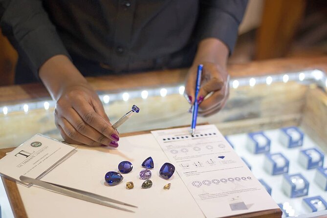 Tanzanite Experience Tour - Tanzanite Shopping in Arusha - Inclusions and Amenities