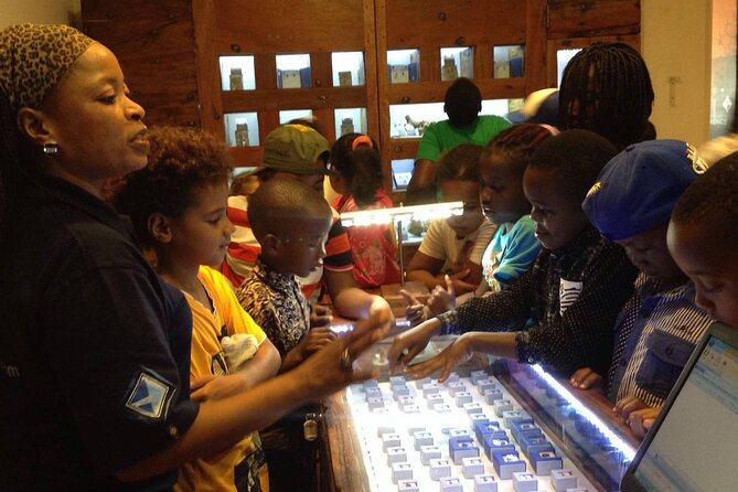 Tanzanite Experience Tour - Tanzanite Shopping in Arusha - Accessibility and Accommodations