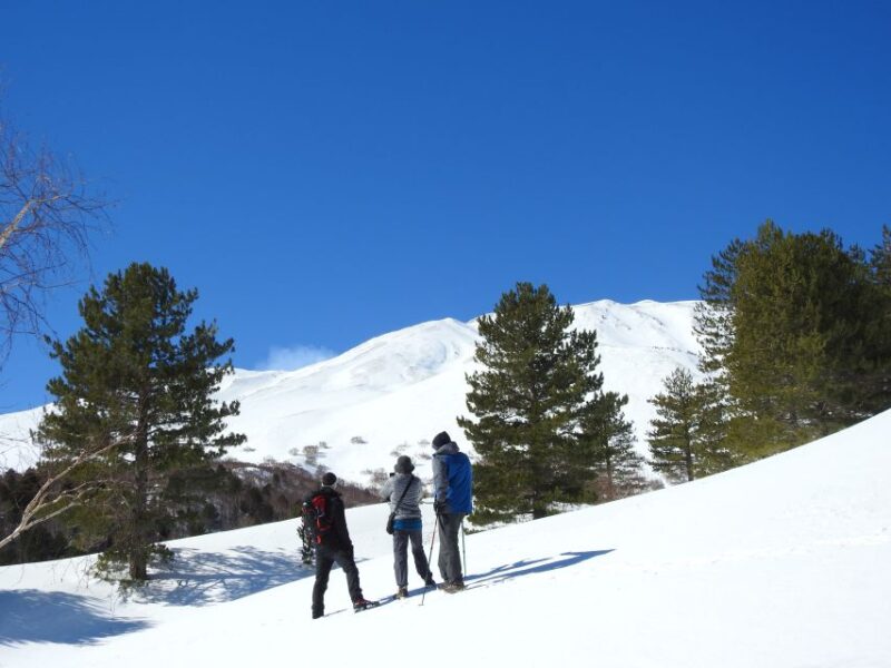 Taormina and Catania: Private Etna Exploration and Cave Tour - Inclusions and Exclusions