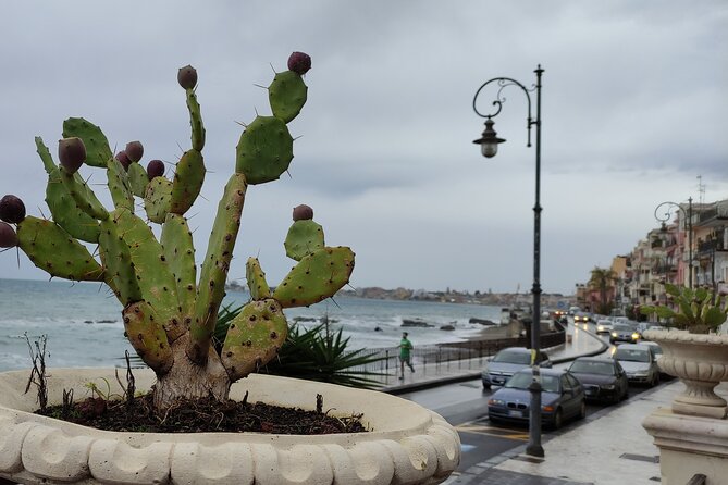 Taormina and Etna Volcano Lunch&Winetasting From Messina or Catania Port Shorexc - Worth The Stay