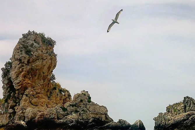 Taormina - Classic Boat Tour - Booking and Payment Options