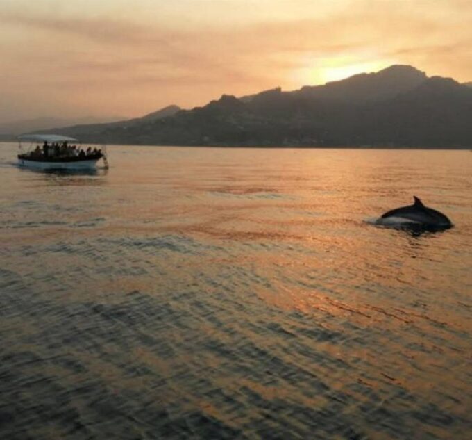 Taormina Coast Tour and Searching Dolphins - Dolphin Watching Opportunity