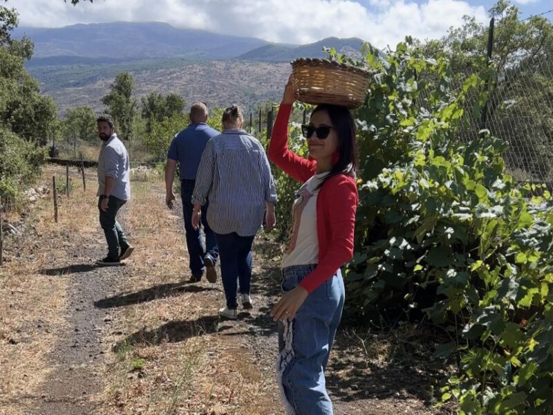 Taormina: Cooking Class in a Farm - Dishes and Lunch