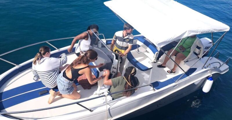 Taormina Dolphin Tour - Tour Inclusions