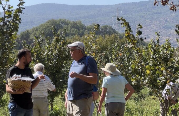 Taormina: Food and Wine Tour Also in Vintage Car - Frequently Asked Questions