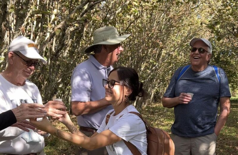 Taormina Food and Wine Tour With Lunch in a Etna Winery - Pickup and Itinerary