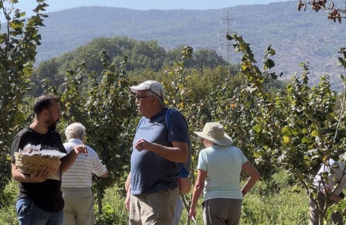 Taormina Food and Wine Tour With Lunch in a Etna Winery - Savor Sicilian Cuisine at Etna Winery
