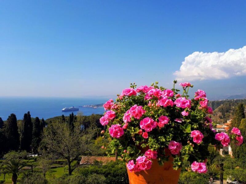 Taormina: Guided Walking Tour - Accessibility and Flexibility