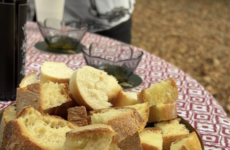 Taormina: Lunch in a Winery and Cheese Tasting in a Dairy - Experience Highlights