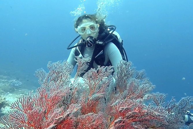 Taormina Scuba Diving Experience - Cancellation and Payment Options