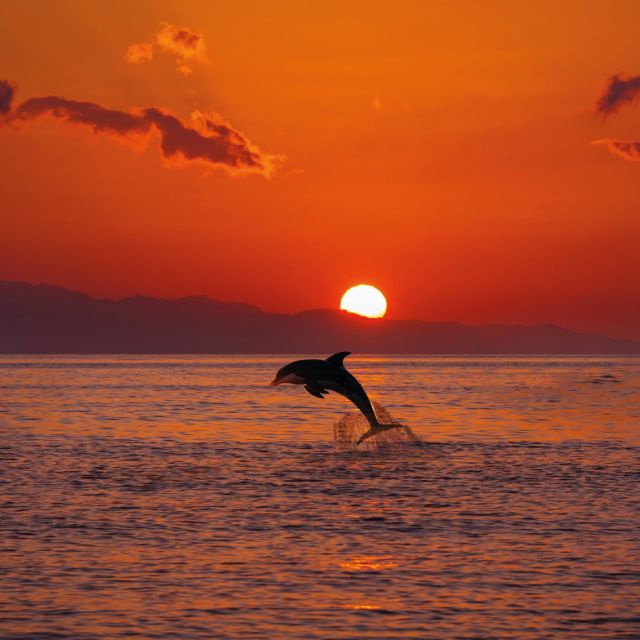 Taormina Sea: Pizza Under the Stars on Board - Booking Details