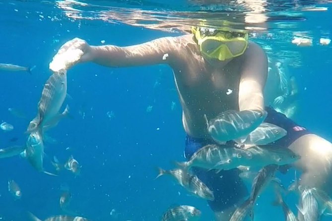 Taormina Snorkeling Experience - Accessibility and Participation