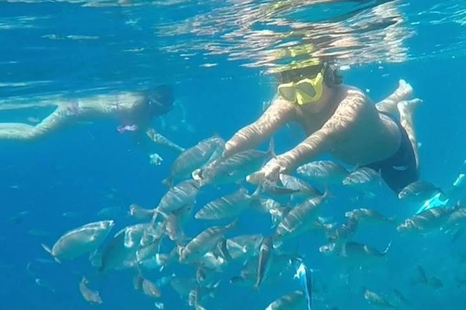 Taormina Snorkeling Experience - Traveler Feedback and Ratings