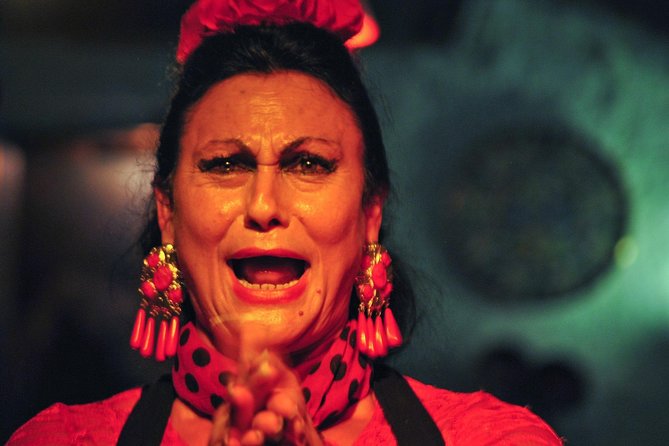 Tapas & Flamenco Private Tour - Tapas, Wine & Flamenco Show - Pricing and Reviews