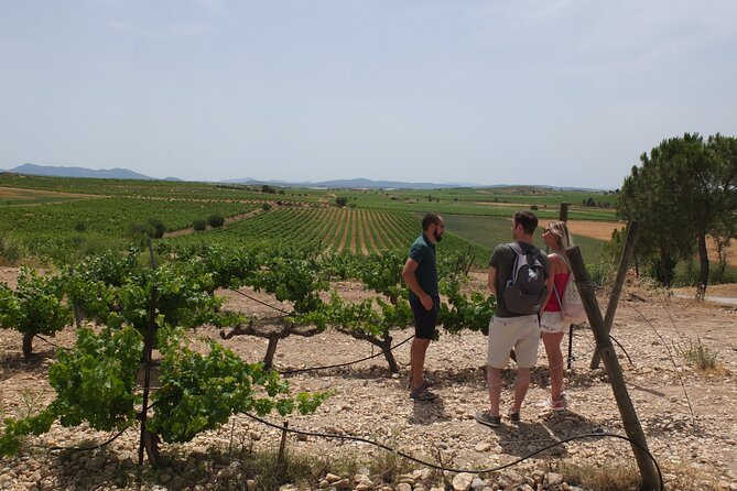 Tapas in the Vineyards - Takeaway Gifts