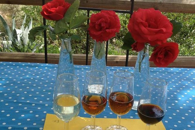 Tapas & Sherry an Andalucian Gourmet Experience. - An Immersive Culinary Journey