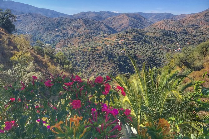 Tapas & Sherry an Andalucian Gourmet Experience. - Breathtaking Views and Tranquil Setting