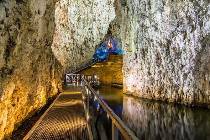 Tara National Park, Mokra Gora, and Zlatibor - Attractions and Pricing