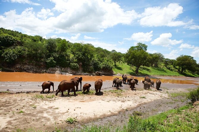 Tarangire National Park Day Trip - Key Points