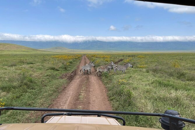 Tarangire & Ngorongoro Crater Group Safari (2 Days) - Meal Inclusions