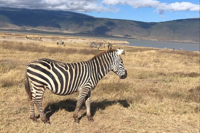 Tarangire & Ngorongoro Crater Group Safari (2 Days) - Transportation Provided