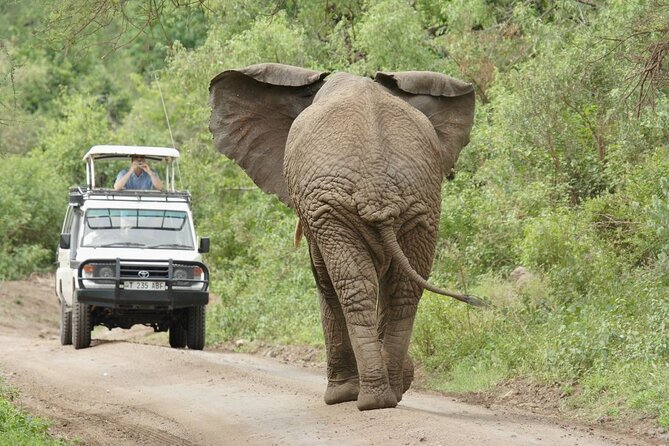 Tarangire, Serengeti, Ngorongoro Group Tour (4 Days) - Itinerary Overview