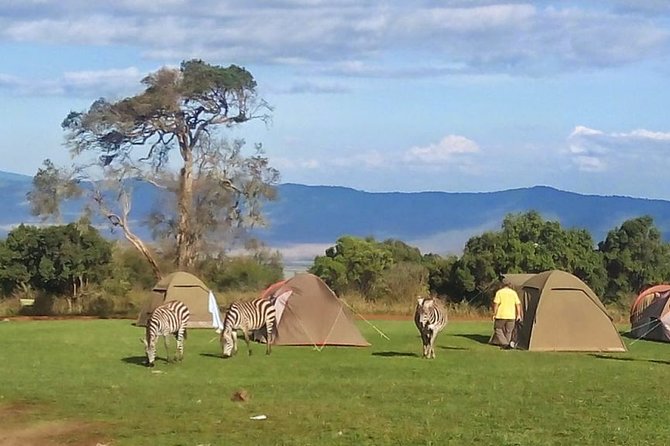 Tarangire, Serengeti, Ngorongoro Group Tour (4 Days) - Accommodation Details