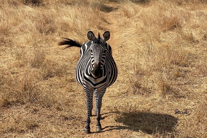 Tarangire, Serengeti, Ngorongoro Group Tour (4 Days) - Packing Recommendations