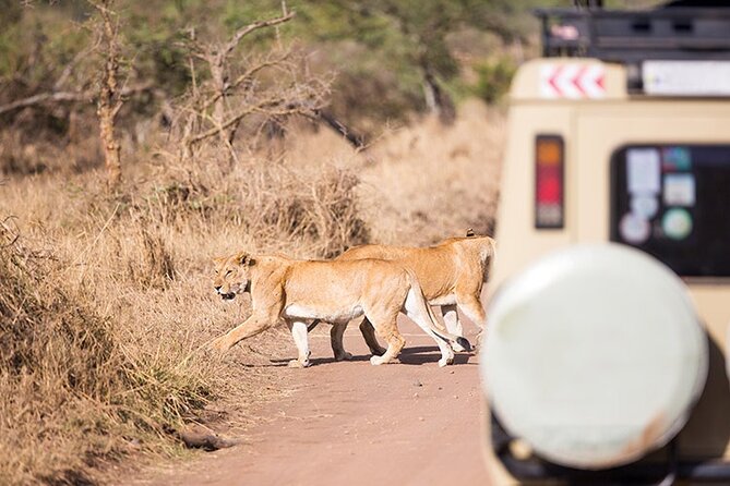 Tarangire, Serengeti, Ngorongoro & Lake Manyara Group Safari (5 Days) - Inclusions