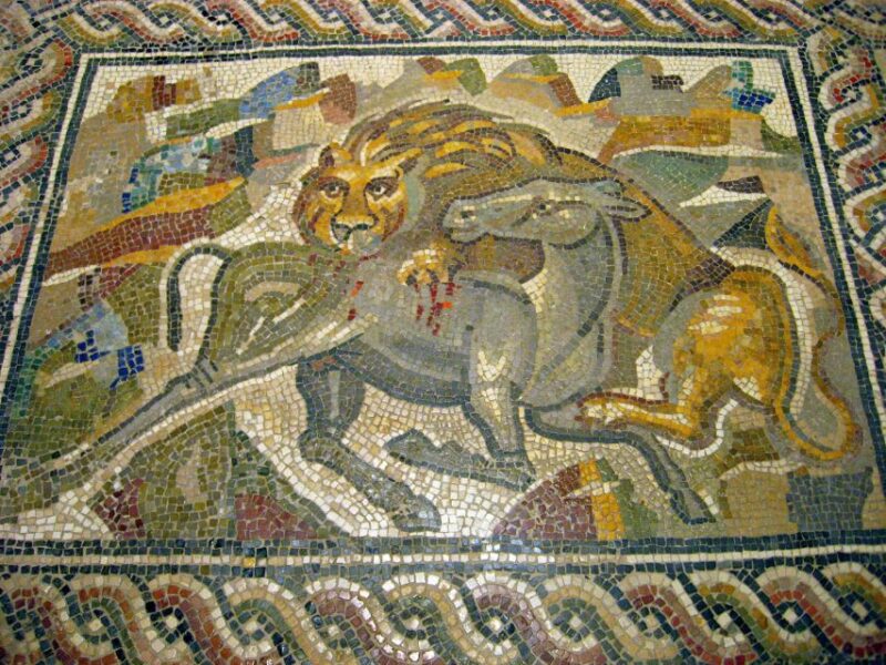Taranto: MarTa Archaeological Museum Tour - Visitor Information