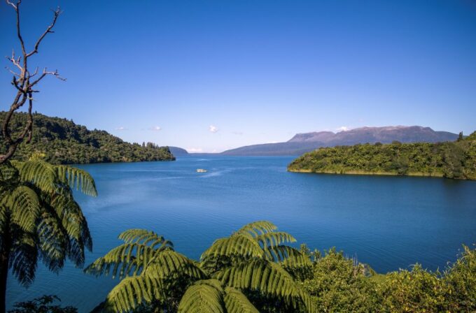 Tarawera and Lakes 2-Hour Duck Eco Tour - Customer Reviews and Ratings